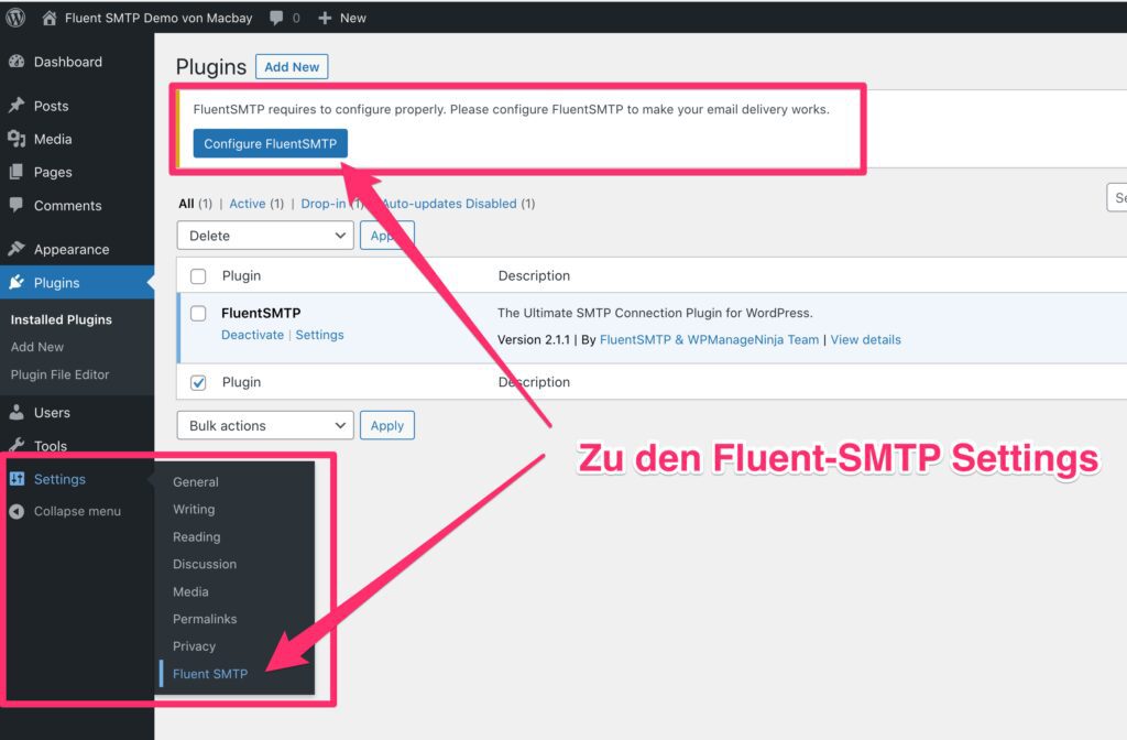 Fluent SMTP Demo 01